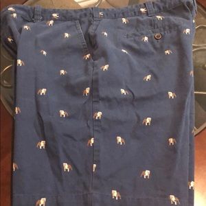 BULLDOG SUMMER SHORTS!! 🗣🤩😍💙